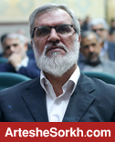 رویانیان: انتخاب خوبی برای پرسپولیس نبودم